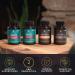 Ancient Nutrition Elderberry + Probiotics | Dr. Axe | 60 Capsules | Immune Support - Buy Online on GoSupps.com