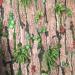 20-Piece Assorted Artificial Moss Rocks for Floral Arrangements, Fairy Gardens, Terrariums, Crafting - Buy Online on GoSupps.com