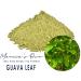 Marcia s Own Marcia's Own Guava Leaf 100% Pure Herbal Tea Powder from Jamaica 1 oz / 28.3 g (40 Servings) - Buy Online on GoSupps.com
