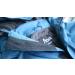 Acme Projects Rain Suit 100% Waterproof Breathable Jacket + Pants Burgundy - 10000mm/3000gm, Taped Seams, YKK Zipper - Buy Online on GoSupps.com