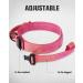 Joyal Tactical Dog Collar | Large Dog Collar with Handle & QR Code | Bright Pink XL - Durable & Stylish - Buy Online on GoSupps.com