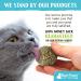 Raw Paws Compressed Catnip Ball Toy 6 Pack for Indoor Cats - All Natural Catnip Interactive Kicker Toy - Catnip Cat Toys for Kitties - Buy Online on GoSupps.com