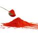 TOSS Hot Red Cayenne Pepper 40000 Heat Units - 6 LB Bulk - Premium Quality Spices - Buy Online on GoSupps.com