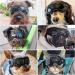 UV Protection Sunglasses for Small Dogs | Cool Black Dog Glasses | Outdoor Eye Protection for Small Breeds - Buy Online on GoSupps.com