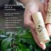 Farmstead Apothecary Baby Diaper Stick 1.5 oz | Natural Diaper Balm for Soothing Relief | International Shipping Available - Buy Online on GoSupps.com