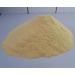 Lupines Semolina 500g - Nutrient-Rich Sweet Lupines from R tze Mill - Premium Quality - Buy Online on GoSupps.com