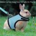 Adjustable Soft Rabbit Dishes Set - 2 Breathable Small Animal Dishes with Leash for Outdoor Use | Perfect for Rabbits Hares Hamsters & Cats - Buy Online on GoSupps.com