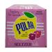 Polar Beverages Raspberry Pink Lemonade Seltzer'ade 12 Fl Oz (Pack of 8) - Refreshing Sparkling Drink with Raspberry Flavor - Buy Online on GoSupps.com