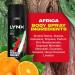 12 Pack of 200ml Lynx Africa Men's Fragrance Aluminium Free Masculine Body Spray Deodorant Fresh And Long Lasting Odour Protection Large 2 Month Supply 200 ml (Pack of 12) - Buy Online on GoSupps.com