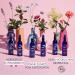 Melvita Organic Grain Flower Water - Decongestant Eye Contour Care | Reduce Dark Circles & Puffiness | 99% Natural Bio-Certified Vegan - 200ml - Buy Online on GoSupps.com