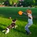 Buy Vivifying Frisbee Dog - Set of 2 Natural Rubber 15 cm Dog Frisbees for Land & Water (Green + Orange) - International Shipping Available - Buy Online on GoSupps.com