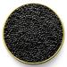 Hackleback Black American Caviar - 2 oz - Premium Malossol Black Roe - Overnight Delivery - Buy Online on GoSupps.com