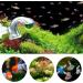 MITENING CO2 Permanent Test Aquarium Kit - 2 CO2 Drop Checkers for Freshwater Aquariums & Planters (6x3cm) - Long-Term Glass CO2 Testing Solution - Buy Online on GoSupps.com