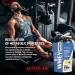 ActivLab Whey Protein 500g - 65% Whey Sugar-Free & Fat-Free | Muscle Growth 16 Portions BCAA - Chocolate Flavor - Buy Online on GoSupps.com