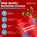 Kynis & co. Berberine Gummies with Ceylon Cinnamon and Apple Cider Vinegar - Sugar Free - Blueberry and Raspberry Flavor - 60ct - Supports metabolic and Digestive Health - Buy Online on GoSupps.com