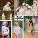Halloween White Bandage Mummy Wrap - Self-Adhesive Zombie Costume for Cosplay Masquerade & Photography Props - 177 inches/Roll - Buy Online on GoSupps.com