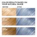 L'Oreal Paris Feria Sapphire Smoke Hair Color - Shimmering Blue Shade | Permanent Dye (Pack of 1) - Buy Online on GoSupps.com