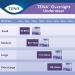Tena Incontinence Underwear for Overnight Unisex Large 11 Count Large 11 count Solid - Buy Online on GoSupps.com