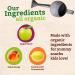 Peter Rabbit Organics Apple & Peach Fruit Snack Squeeze Pouch - 4oz (Pack of 10) - Buy Online on GoSupps.com