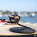 Sea Rock Marine Double Braided Nylon Dock Lines | 2 Pack 15' x 3/8 | Boats & Marine Rope Accessories - Buy Online on GoSupps.com