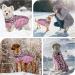 Kuoser Warm Dog Jacket | Reflective Windproof Coat for Small & Large Dogs | Fashionable Winter Dog Coat in Pink - Buy Online on GoSupps.com