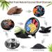 Art Charcoal Air Purifier | Activated Charcoal Odor Absorber & Moisture Remover | Enhance Home Decor | American Hawk - Buy Online on GoSupps.com