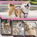 Multi-Purpose Dog Harness & Leash Set - Outbreak-Proof Anti-Train Safety Harness for Small & Medium Dogs (Pink M) - Buy Online on GoSupps.com