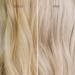 Freewill Blonde Preserve Shampoo - Best Purple Shampoo for Blonde Hair Care Neutralizes Brassiness & Enhances Shine | 8.5 oz - Buy Online on GoSupps.com