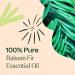 Buy Plant Therapy Balsam Fir Essential Oil 30 mL - 100% Pure Undiluted Therapeutic Grade for International Shipping - Buy Online on GoSupps.com