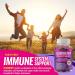 Elderberry Gummies with Zinc & Vitamin C | Immune System Support Supplement | 60 Gluten-Free Gummies - Buy Online on GoSupps.com