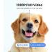 1080P Pet Camera with Night Vision, 2-Way Audio, Motion Detection | WiFi Indoor Security Camera with Smart Tracking & Alexa Compatibility - Buy Online on GoSupps.com