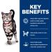 Hill's Science Diet Adult Indoor Dry Cat Food Chicken Recipe 15.5 lb Bag & Adult Canned Cat Food Savory Salmon Entr e 5.5 oz 24 Pack Wet cat Food - Buy Online on GoSupps.com