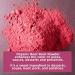 HQOExpress Organic Beetroot Powder - Organic Superfood - Nitric Oxide Booster - Non-GMO - Kosher - Sustainably Grown - 34oz Chef Jar 2 Pound (Pack of 1) - Buy Online on GoSupps.com