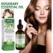 Firulab 60ml Rosemary Oil for Hair Growth and Hair Loss Refreshing Rosemary Oil for Hair Growth and Damaged Hair - Buy Online on GoSupps.com