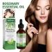 Essential Rosemary Oil for Hair Growth & Scalp Massage - 60ml Natural Vegan Aromatherapy Oil for Skin Care - Buy Online on GoSupps.com