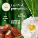 Herbal Essences Pure Plants Jojoba Oil Sulfate Free Conditioner Made for Air Drying Smoothing with Certified Camellia Oil and Aloe Vera For All Hair Types Especially Frizzy Hair 400 mL Unscented 400 ml (Pack of 1) - Buy Online on GoSupps.com