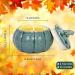 Pumpkin Shaped Candle | Fall Scents & Thanksgiving Decor | Green Wax Pumpkin Spice Candle for Autumn & Halloween - Buy Online on GoSupps.com