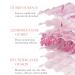 Rose Day Face Cream - Natural Rose Oil & Hyaluronic Acid Moisturizer for Dry Skin | Revitalizing & Firming - Buy Online on GoSupps.com