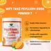 Danodia Foods Organic Psyllium Husk Powder Mild Orange Flavor, 200g (8.8oz) | Sat-Isabgol with 5 Added Herbs | Unsweetened, Gluten-Free, Natural Fiber Supplement for Digestive Health - Buy Online on GoSupps.com
