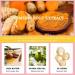 Turmeric Scrub Dark Spot Fading Turmeric Exfoliating Body Scrub Facial Peeling Brightening Exfoliating Scrubs Facial Scrub Exfoliator Natural Deep Cleansing Body Scrub Exfoliator Body Skin Care - Buy Online on GoSupps.com