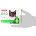 Beaphar Tick and Flea Protection Spot for Cats - Margosa Extract 3 x 0.8 ml & Flea Protection Collar - Effective Tick Protection for Cats - Buy Online on GoSupps.com
