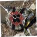FOMIYES Turtle Leash Turtle Toys for Aquatic Turtles Turtle Harness Strap Small Pets Training Animals Harness Strap Live Turtle Tortoise Chest Collar Rope Leather Accessories Outdoor 120X0.8X0.2cm Black - Buy Online on GoSupps.com