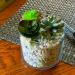 3lb Jade Bean Sand Stone Natural Top Dressing for Succulents & Cactus Bonsai Projects - Decorative Gravel for Terrarium & Fairy Garden - 5mm-8mm Light Green - Buy Online on GoSupps.com