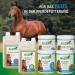 Buy MSM-Plus Liquid for Horses | Support Musculoskeletal Health with MSM Glucosamine & Chondroitin | 1L Joint Health Supplement - Buy Online on GoSupps.com