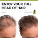 Hair Fibers for Thinning Hair - Natural Keratin Thickening Spray for All Hair Types - 18g Medium Brown | Best Hair Thickening Products for Men & Women - Buy Online on GoSupps.com