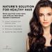 Marrakesh Oil Hydrate Daily Conditioner 739ml | Intense Moisture for All Hair Types | Shop Internationally - Buy Online on GoSupps.com