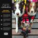 EzyDog Premium DFD - Adjustable Dog Life Jacket with Reflective Trim - Red Large - Buy Online on GoSupps.com