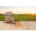 Fruidles Raw Peanuts in Shell - 2 Pound Bag for Boiling, Squirrels, Birds, and Wildlife - Buy Online on GoSupps.com
