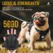 Oneigris Dog Harness & Leash Set | Mini Trooper Puppy Dishes for Extra Small to Medium Dogs - Black XS - Buy Online on GoSupps.com