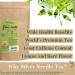 TODICAMP Organic Silver Needle Tea - Premium 1 LB Loose Leaf White Tea with Antioxidants - Buy Online on GoSupps.com